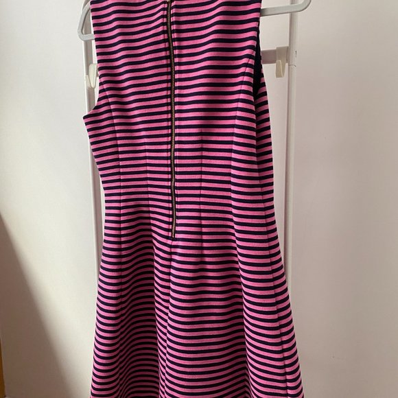 Lilly Pulitzer Brielle fit & flare dress Hotty Pink Ottoman Stripe - Picture 8 of 14